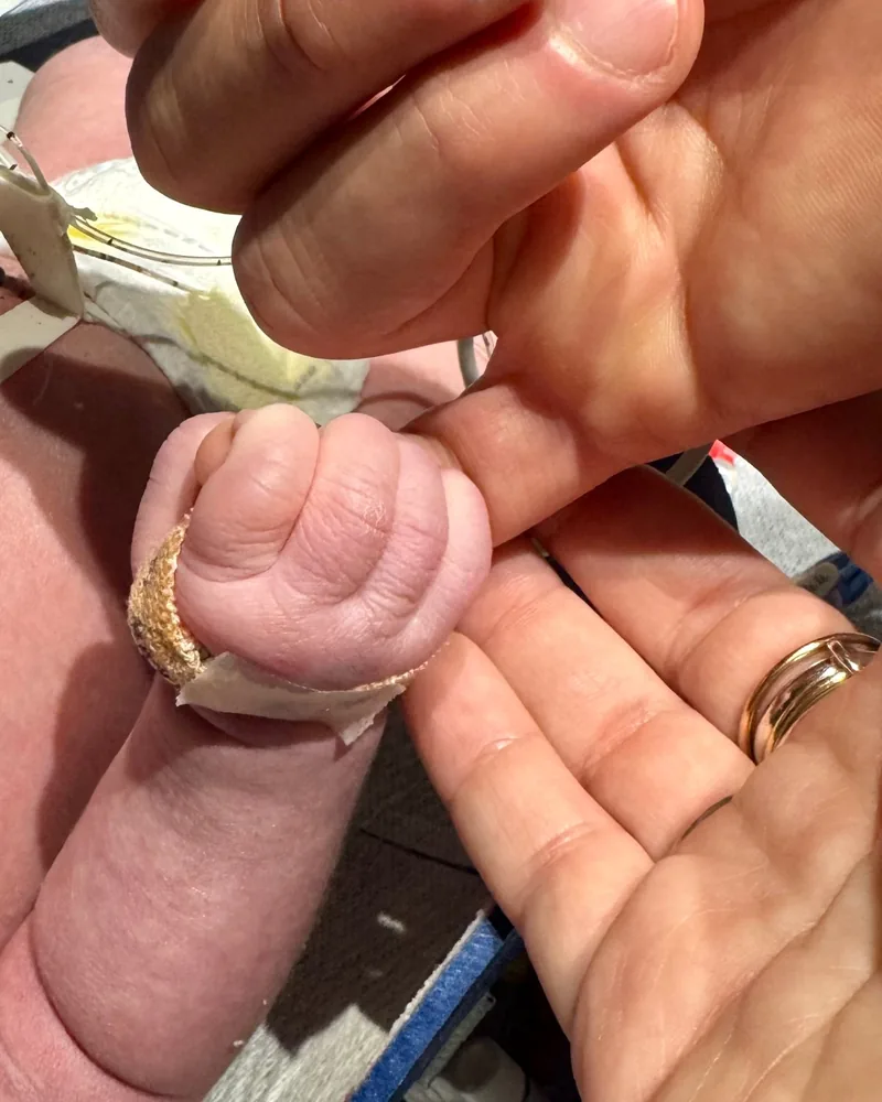 Andie’s tiny hand holding tightly to her parent’s finger